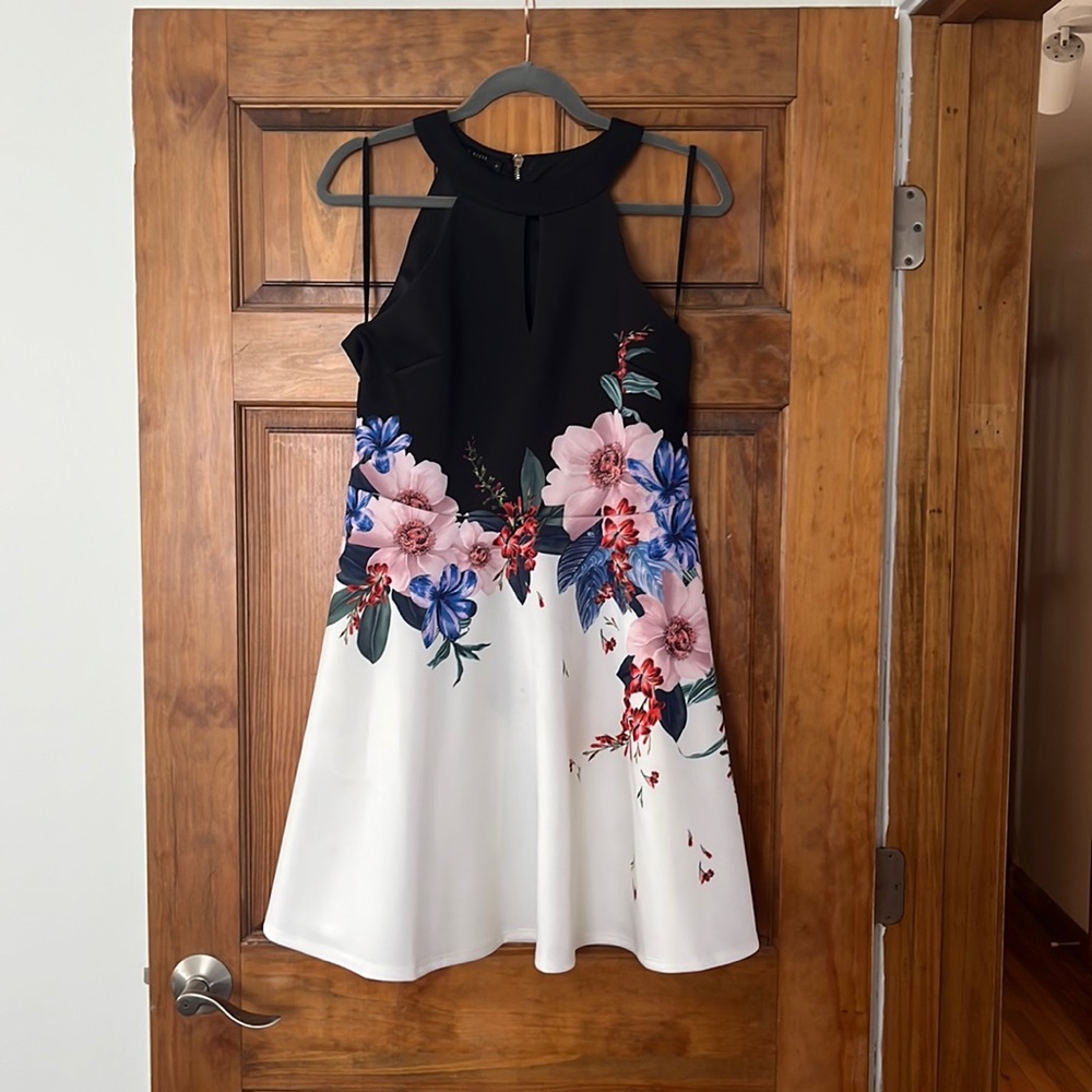Ted Baker Dress